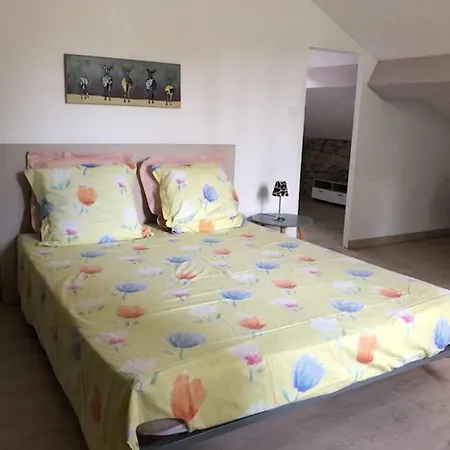 度假居 Clos Des Plages Maison De 拉西约塔